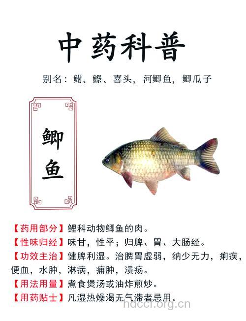 鲫鱼和什么不能一起吃