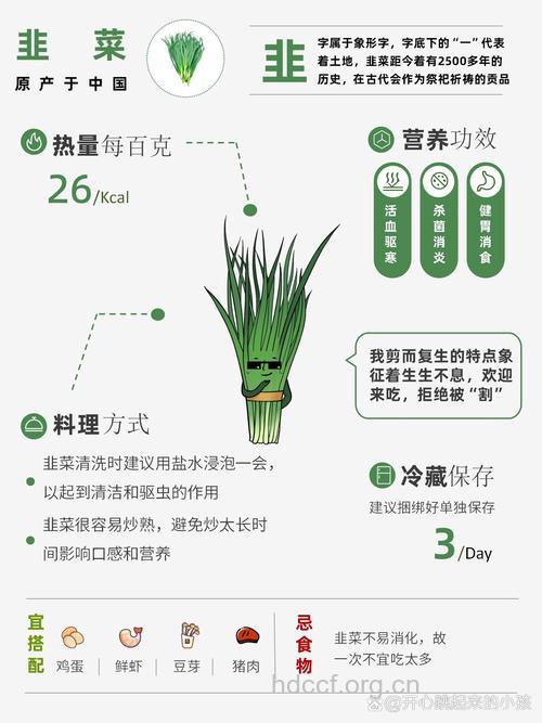 韭黄的营养价值