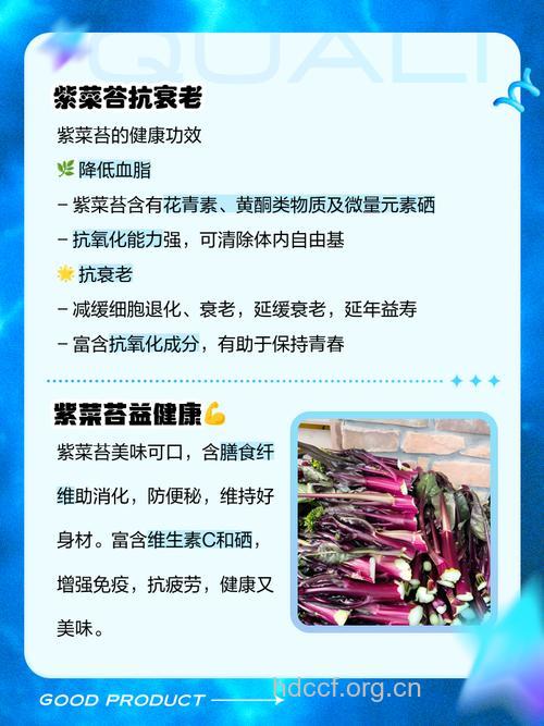 紫菜薹的营养价值