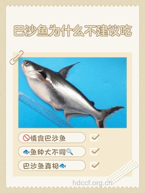 鱼什么时候不能吃