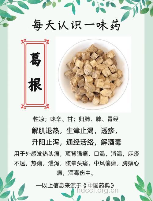 葛的营养价值