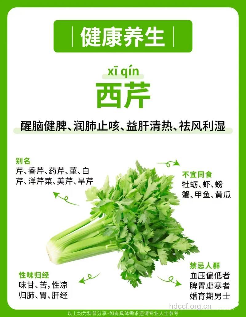 西芹的营养价值