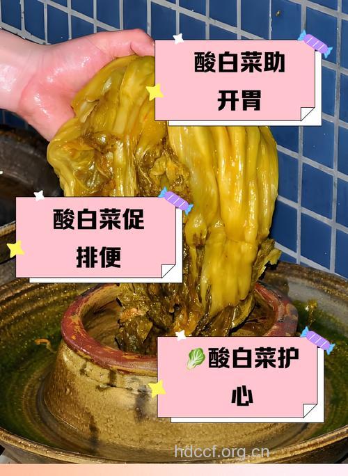 酸白菜的营养价值