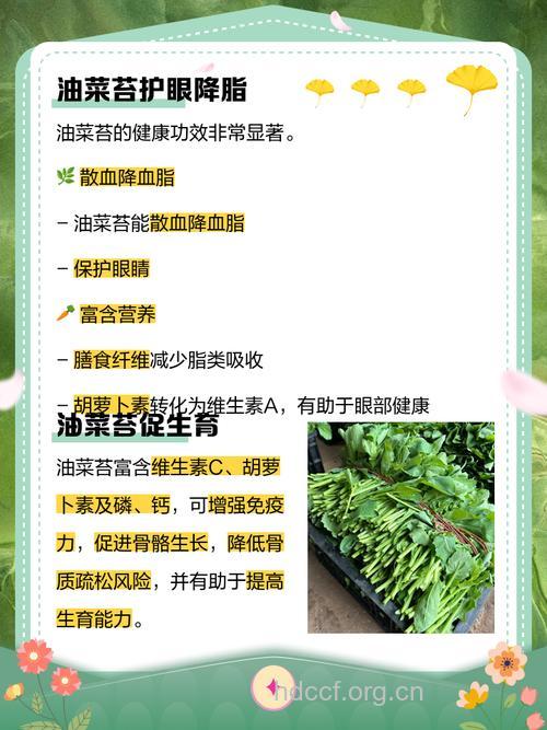 油菜薹的营养价值