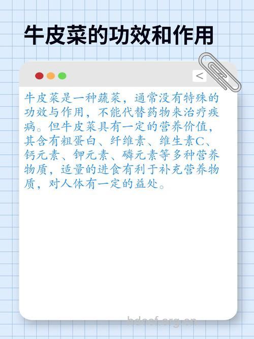 牛皮菜的营养价值