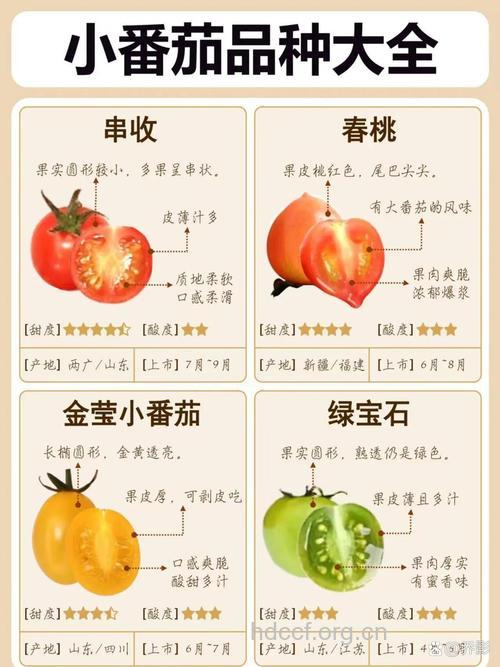 樱桃番茄的营养价值