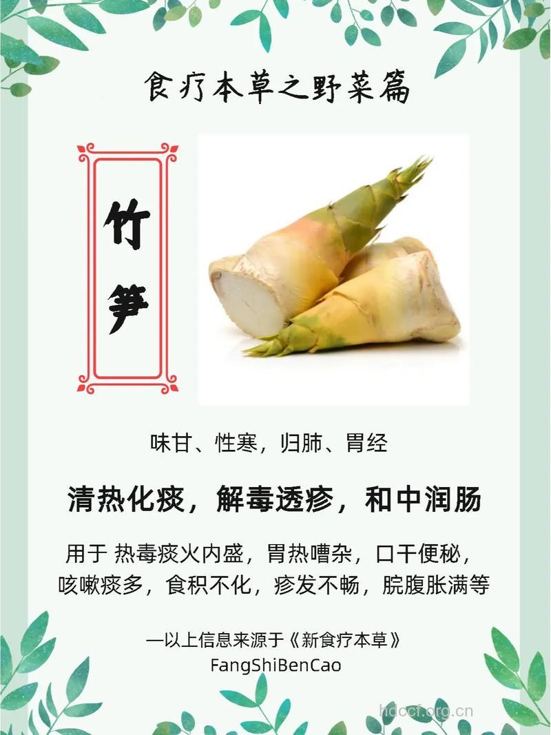 竹笋的营养价值