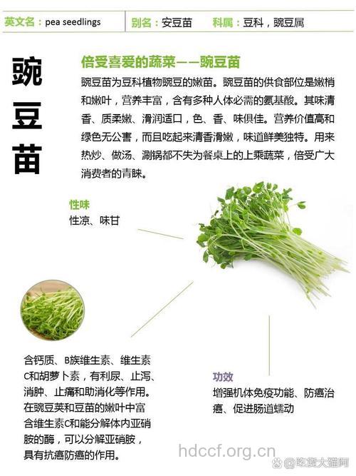 豌豆苗的营养价值
