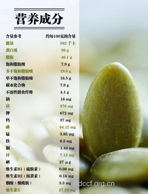 南瓜子的营养价值