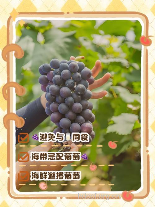 葡萄和什么不能一起吃