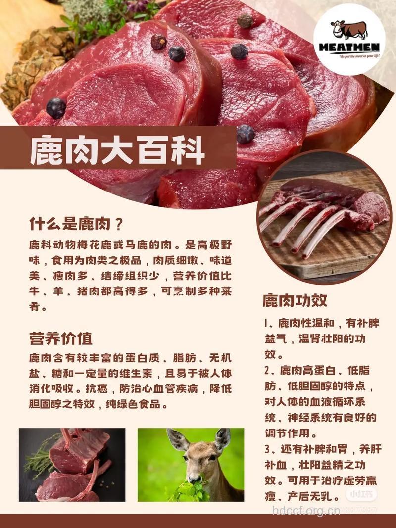 鹿肉和什么不能一起吃