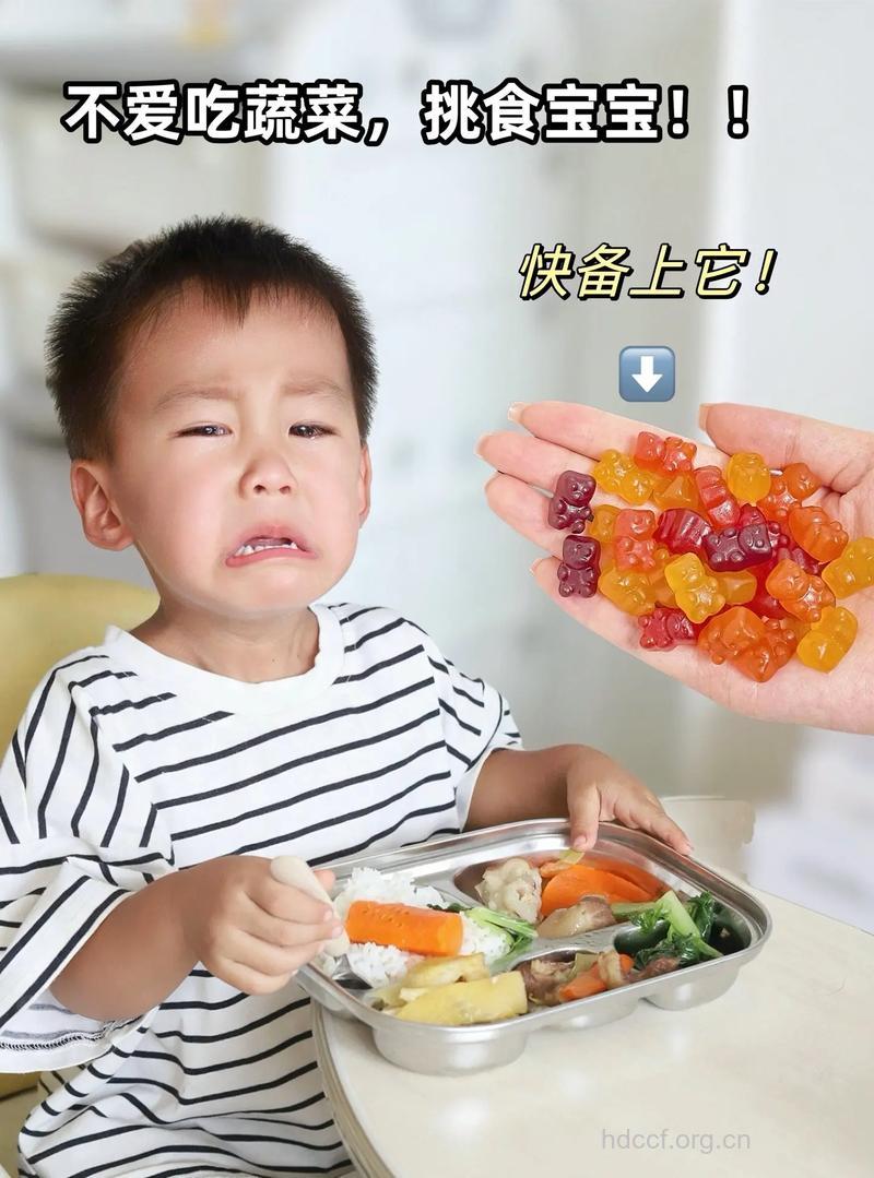 挑食宝贝的饭菜