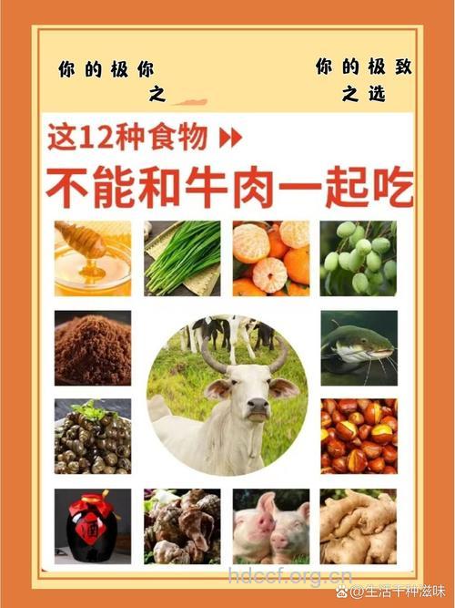 牛肉不能和什么一起吃