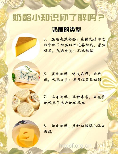 奶酪的营养价值