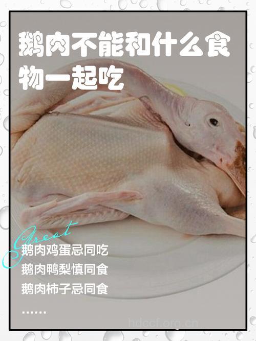 鹅肉和什么不能一起吃