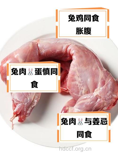 兔肉不能和什么一起吃