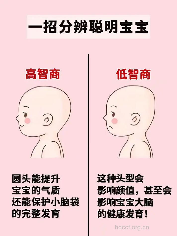 什么样的脸型是高智商宝宝的特征