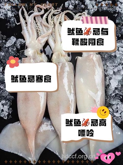 鱿鱼和什么不能一起吃