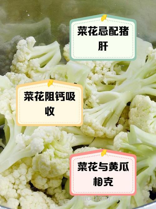 菜花和什么不能一起吃