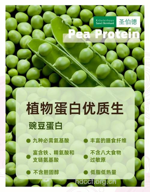 豌豆的营养价值