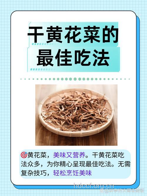 金针菜的营养价值