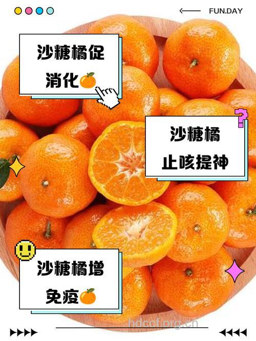 橘子功效多 莫贪多小心上火