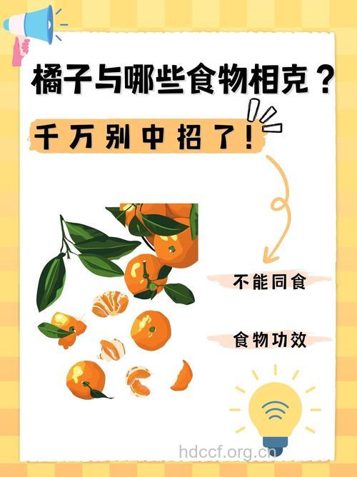 橘子和什么不能一起吃