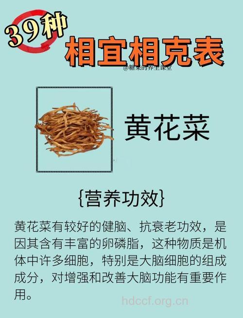 金花菜饮食有什么作用和药效