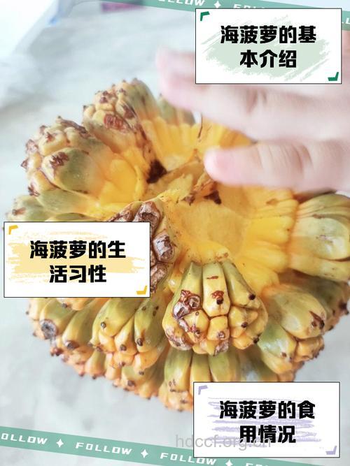 海味可以和水果同食吗