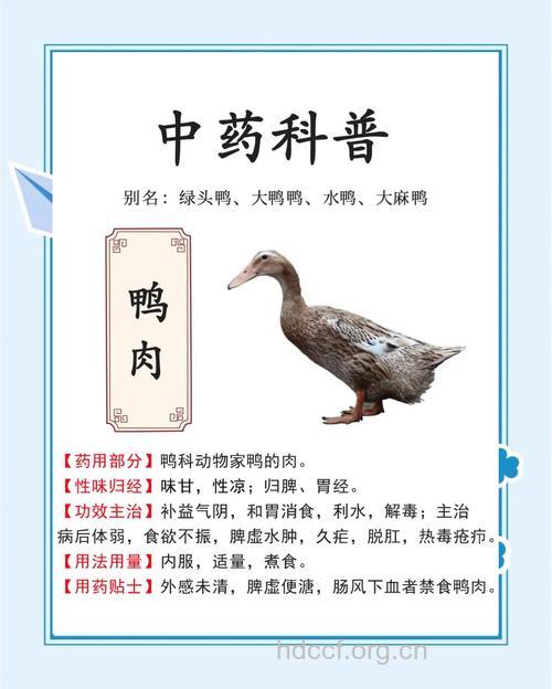 鸭肉有什么药效的作用吗
