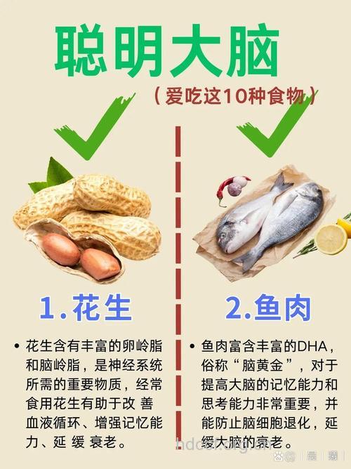 记忆力衰退吃什么