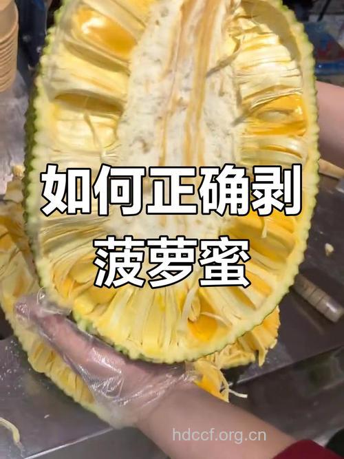 菠萝蜜怎么吃