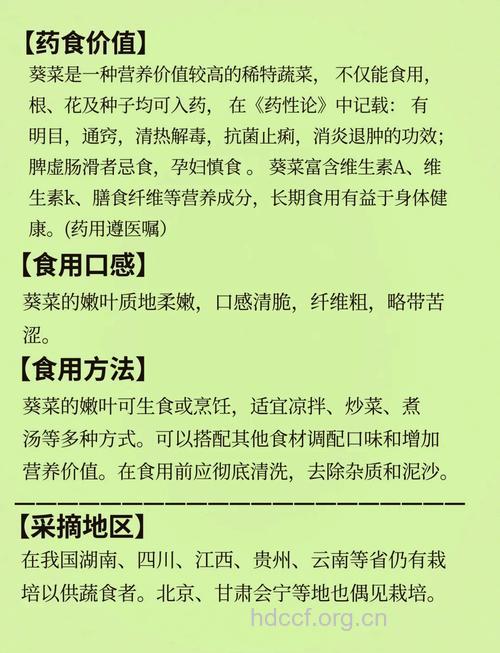 葵菜有什么作用和药效