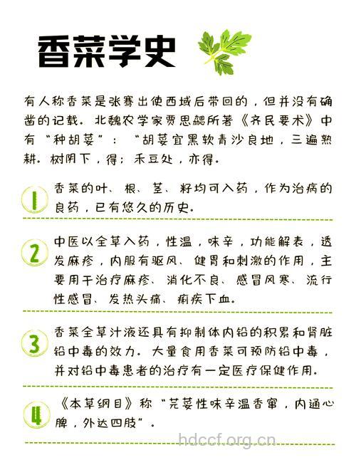 香菜有哪些作用和药效