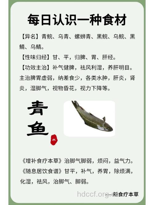 青鱼都有什么药用价值和作用