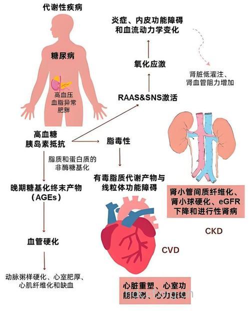 引起心律失常的代谢障碍性疾病
