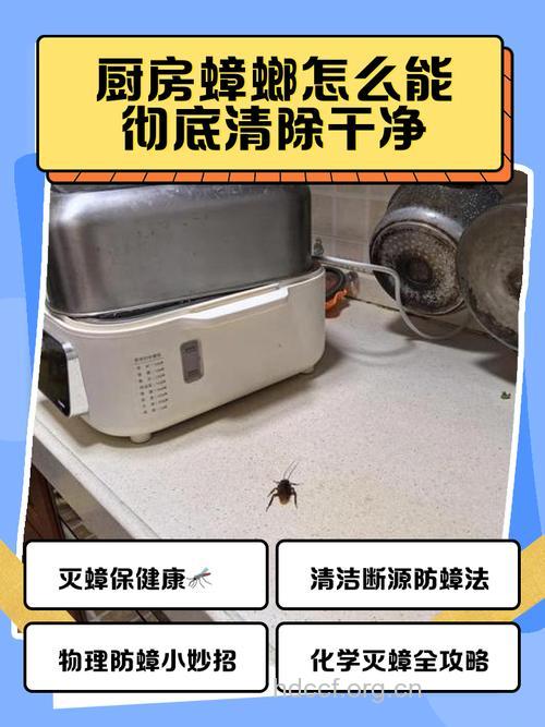 厨房里会致病的4种东西