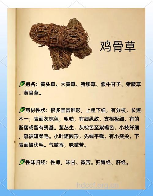鸡骨草有什么功效