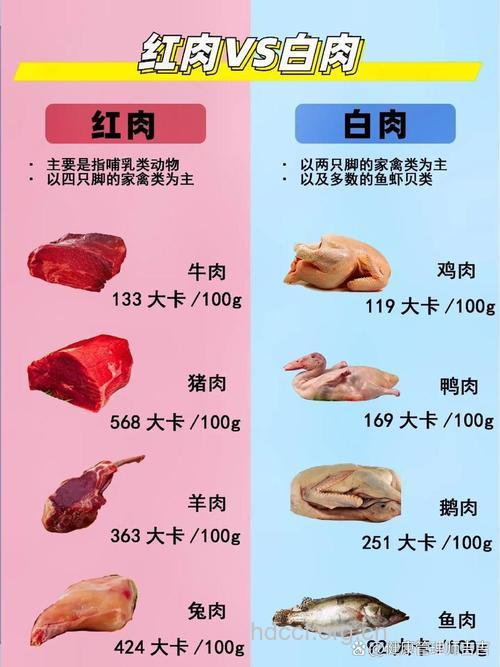 盘点超级养生的五大肉类