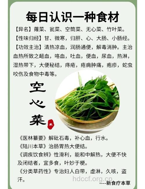吃空心菜通便解毒