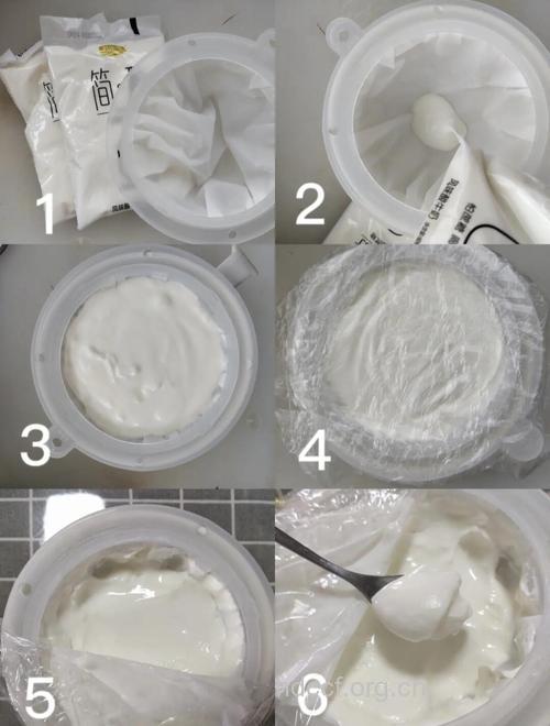 DIY酸奶减肥方法