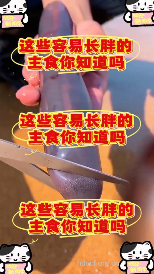 自助餐致肥的陷阱
