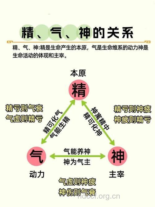 三宝助健康——“精、气、神”