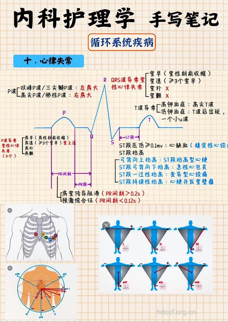 了解心律失常才能标本兼治