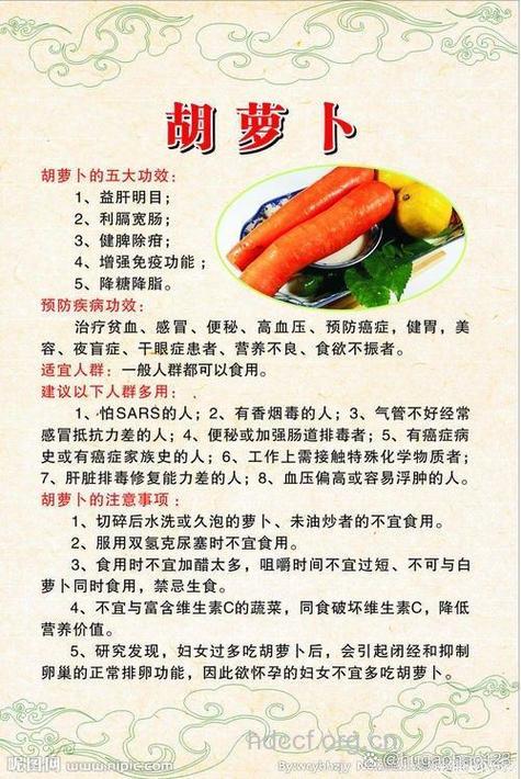 吃胡萝卜对男人有什么好