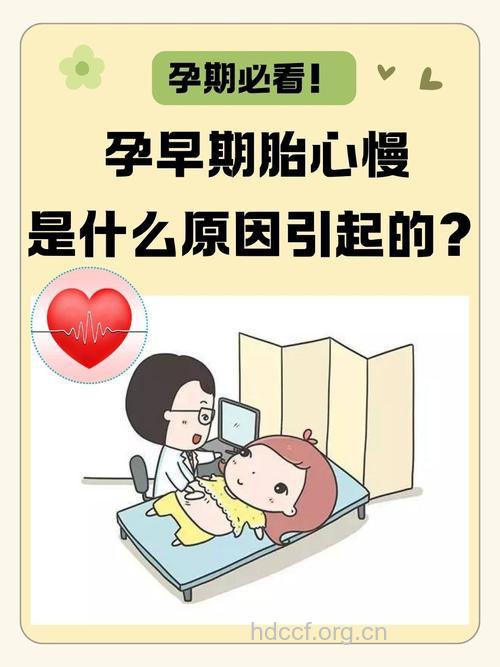 孕期心律失常对胎儿有啥影响