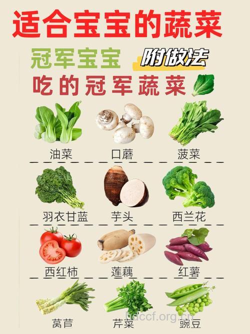 怎么吃蔬菜让宝宝更健康