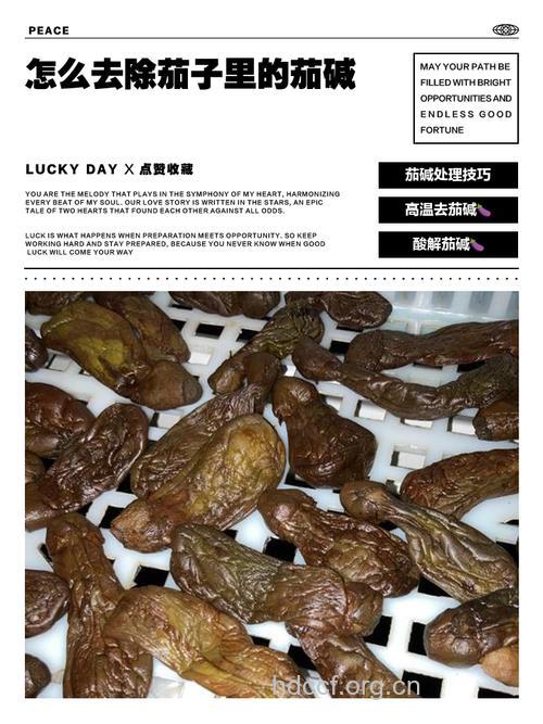 茄子越老越安全 削皮不能去茄碱