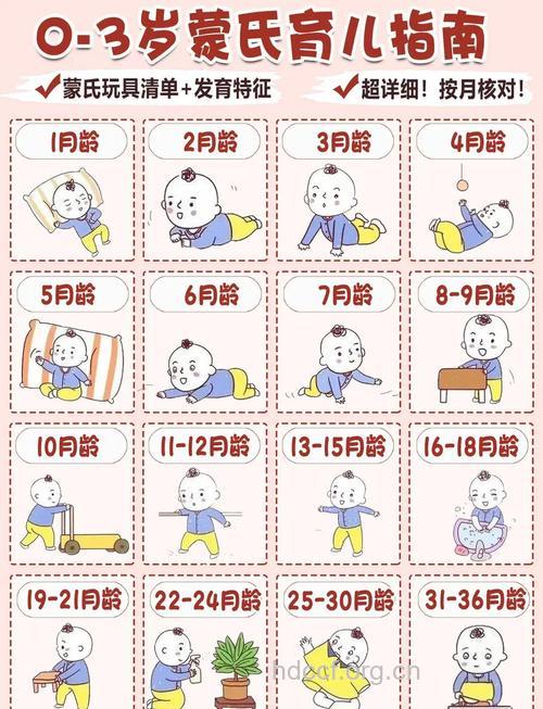 3岁宝宝有什么发育特点