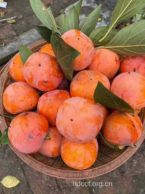 秋季具有保湿效果的美味水果